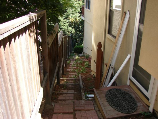 Neglected Side Yard 