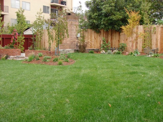 After- Verdant Lawn