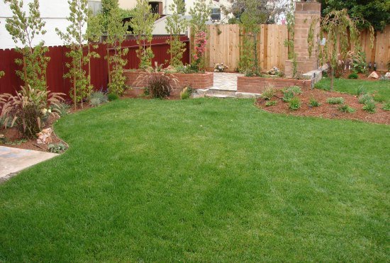 After- Lawn and Mountain Moon Dogwoods