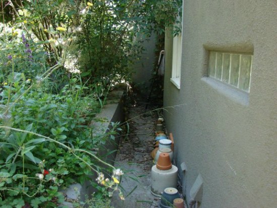 Failing Retaining Wall in Overgrown Backyard 