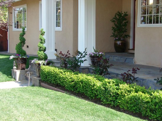 Formal Entry Planting 