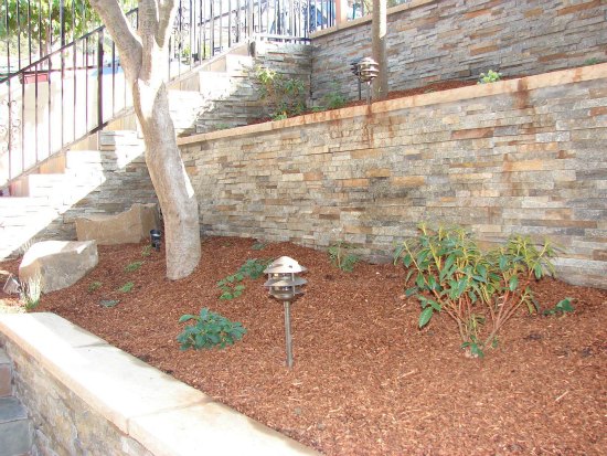 Terraced Planting Bed with Accent Tree 